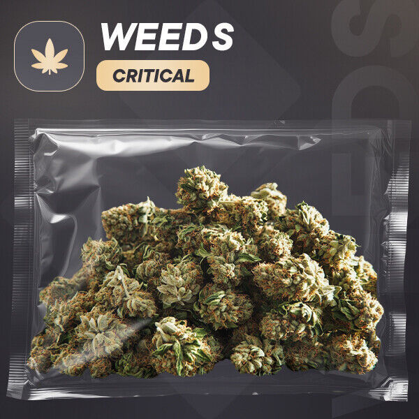 Weeds|Critical