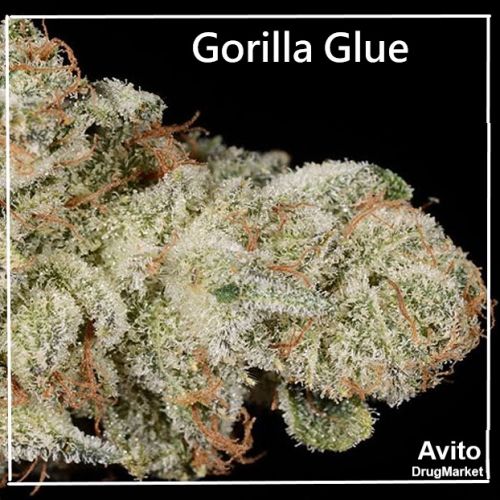 Шишки Gorilla Glue