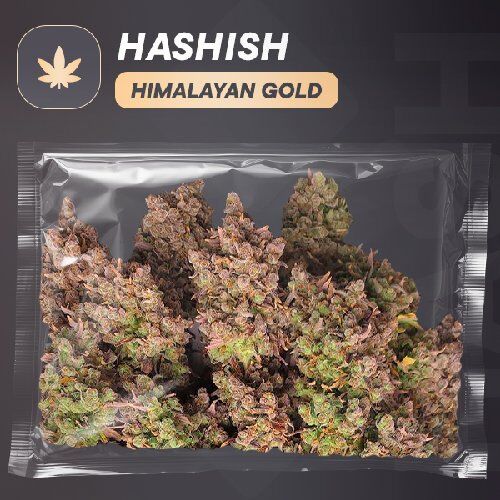 Weeds|Himalayan Gold