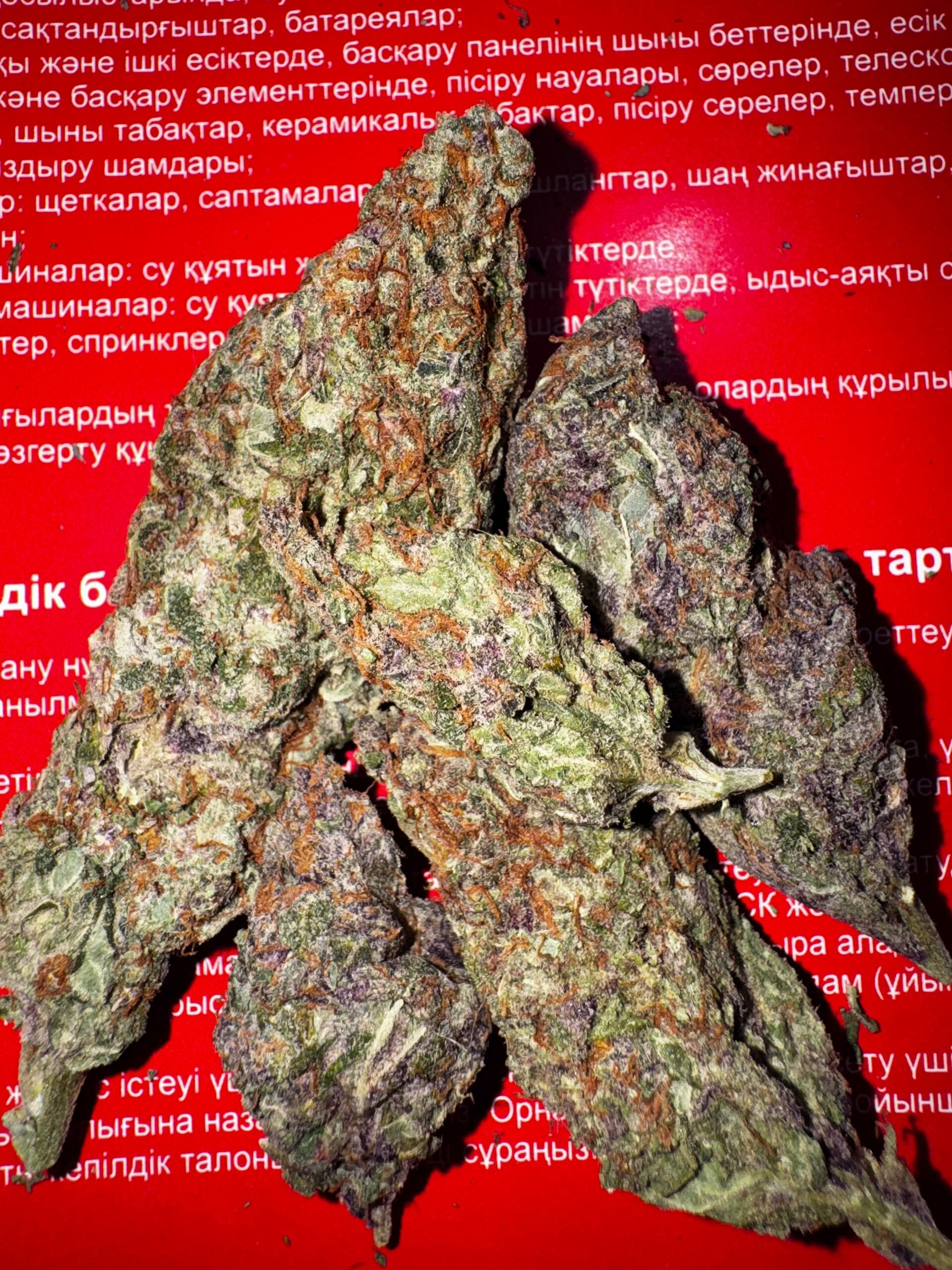 Purple Daddy OG Kush