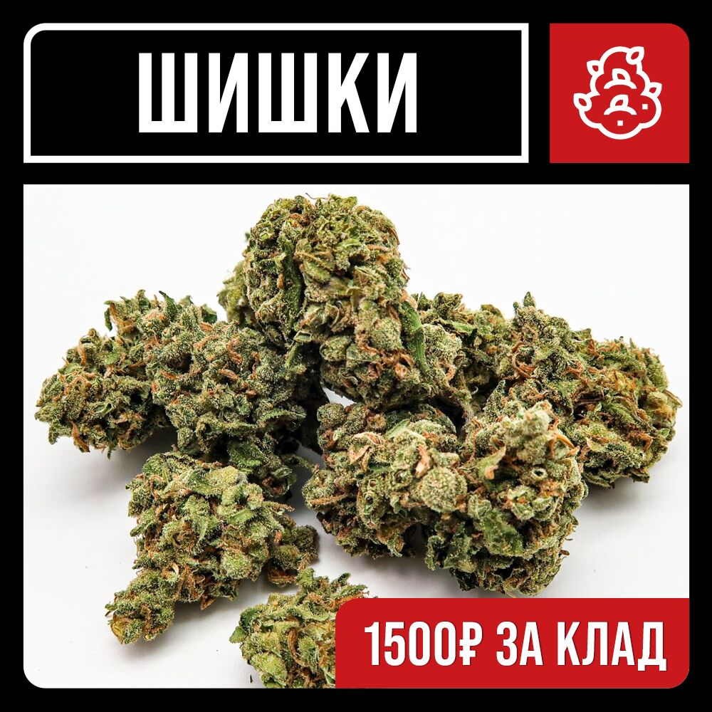 Шишки VHQ