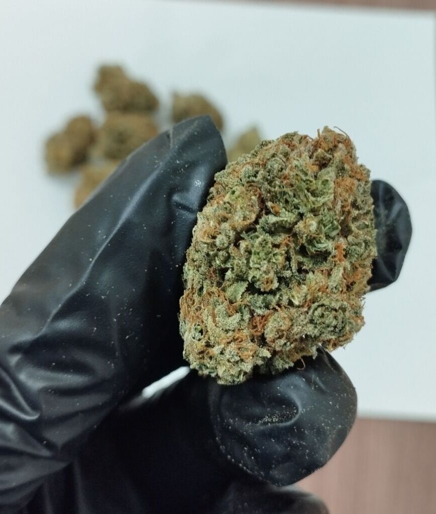 Freeman 25% ТГК