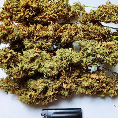 AK-47 11.24