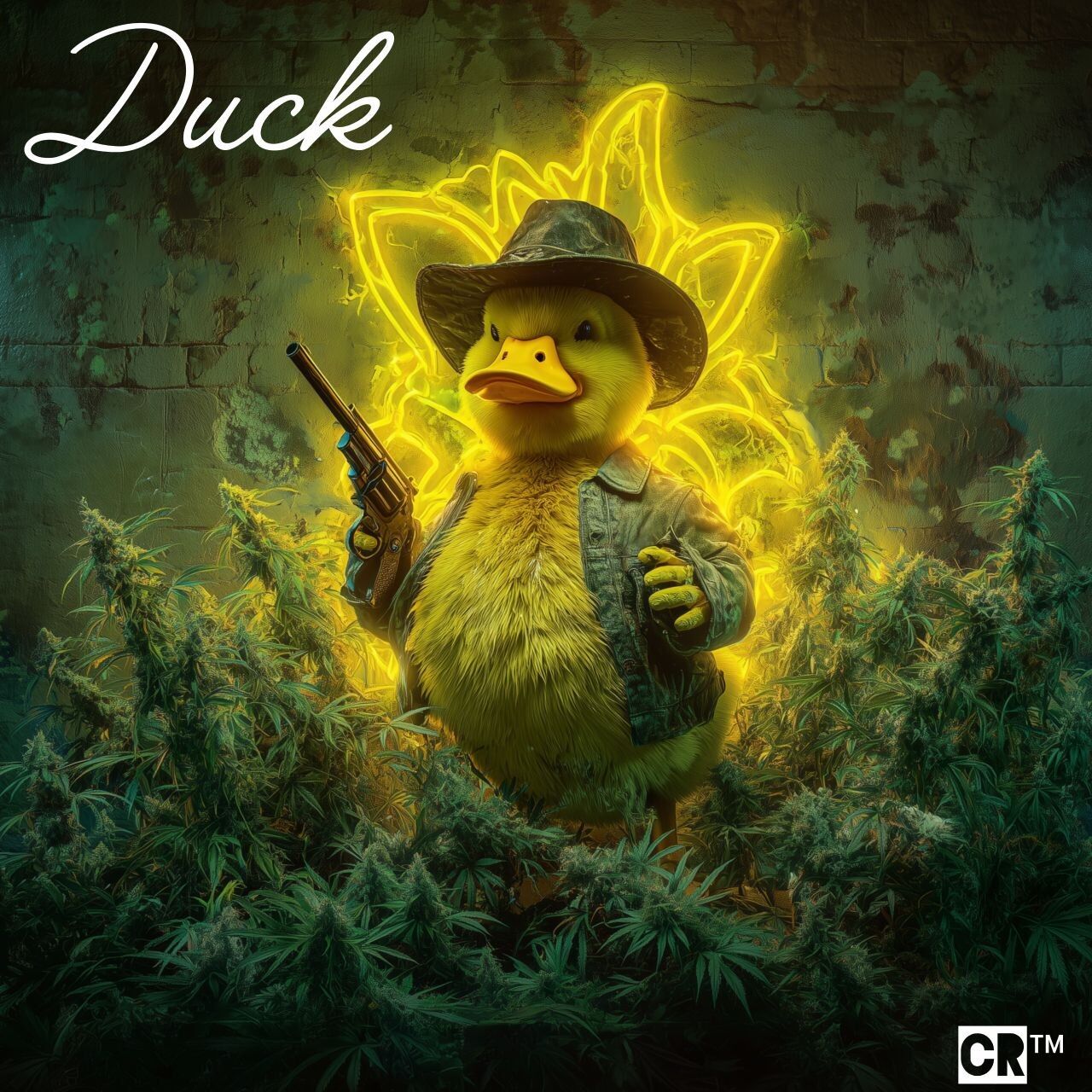Duck