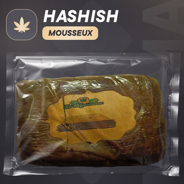 Hash|La musse 2026