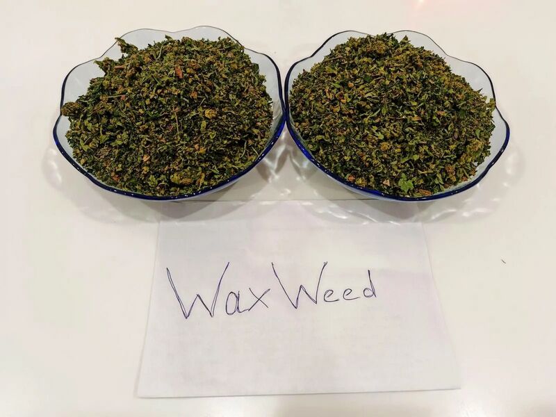 🌿Wax Weed🌿
