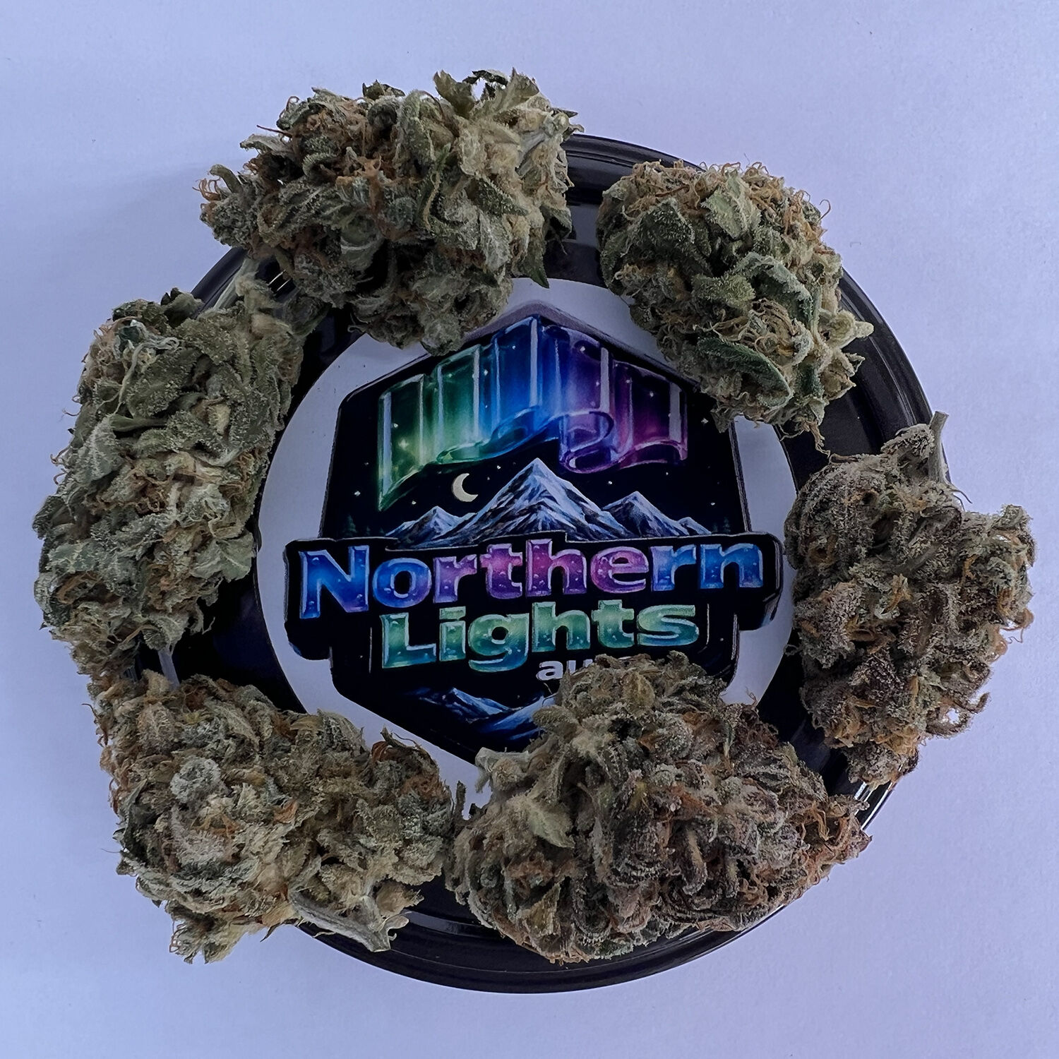 NORTHERN LIGHTS