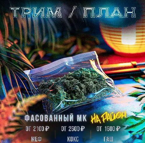 Трим | План