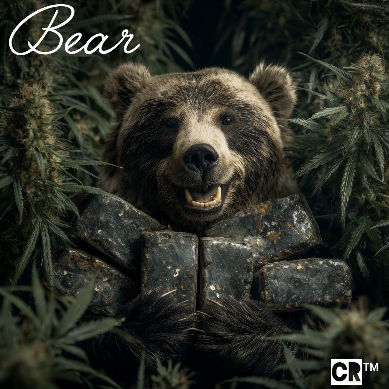 Bear