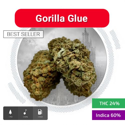 Gorilla Glue