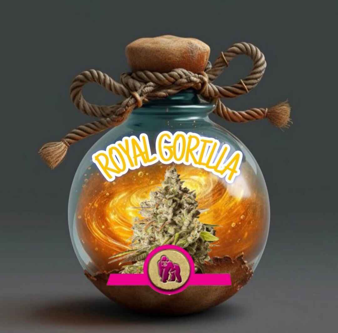 ROYAL Gorilla