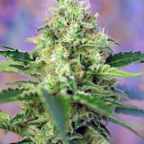 Crystal Candy