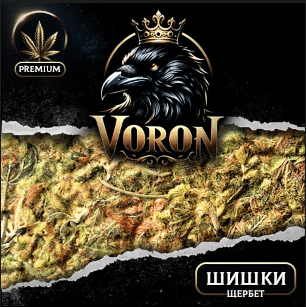 ЩЕРБЕТ VHQ+